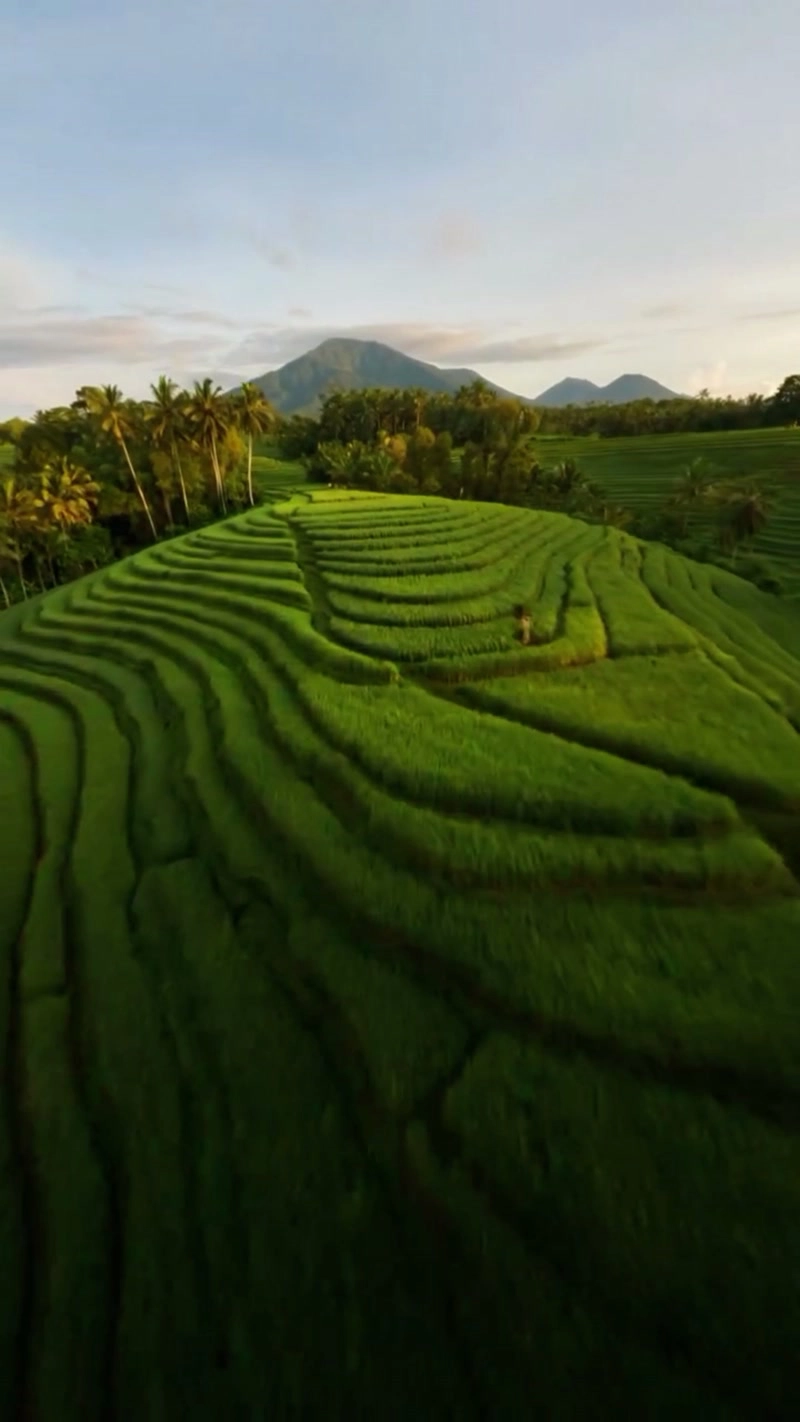 A panoramic view of boundless scenery